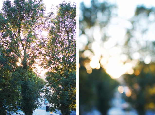 view from window diptych